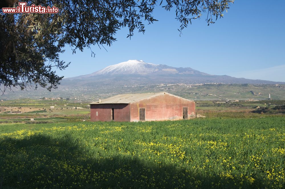 Immagine Le campagne di Regalbuto fotografate all'inizo della primavera