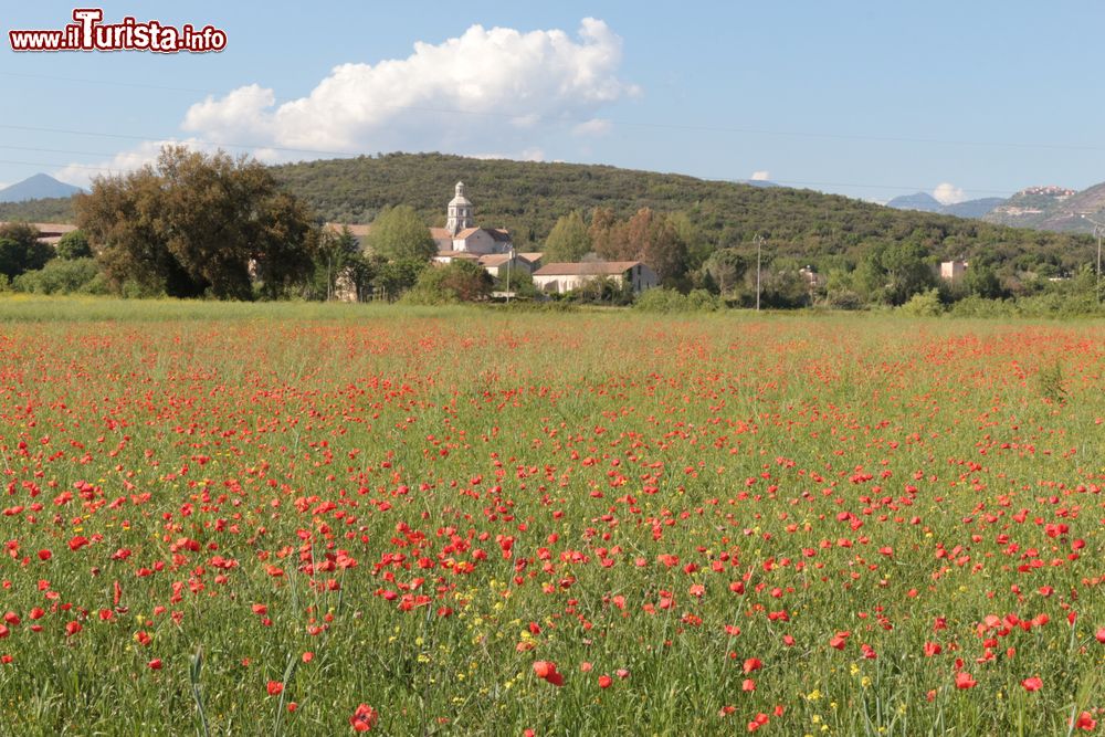 Immagine Le campagne e l'Abbazia di Fossanova a Priverno nel Lazio