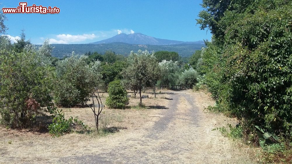 Immagine Le campagne inteorno a Linguaglossa e il Monte Etna sullo sfondo