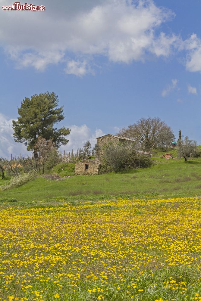 Immagine Le campagne intoerno a Crobara in Umbria, fotografate in primavera