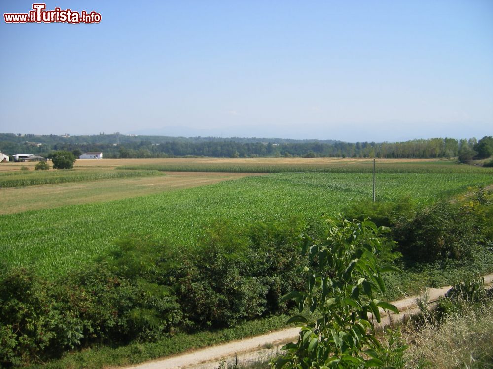 Immagine Le Campagne intorno a Cervere: siamo a nord di Cuneo, in Piemonte