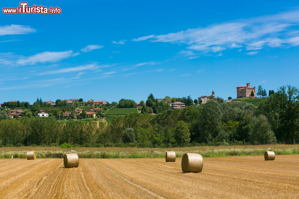 Immagine Le campagne intorno a Fossano in estate. Siamo in Provincia di Cuneo, in Piemonte