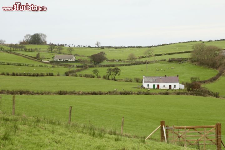 Immagine Le campagne intorno a Larne, nel nord dell'Irlanda