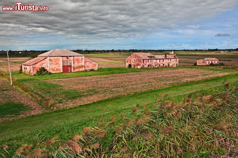 Immagine Le campagne intorno a Loreo, provincia di Rovigo, in Veneto