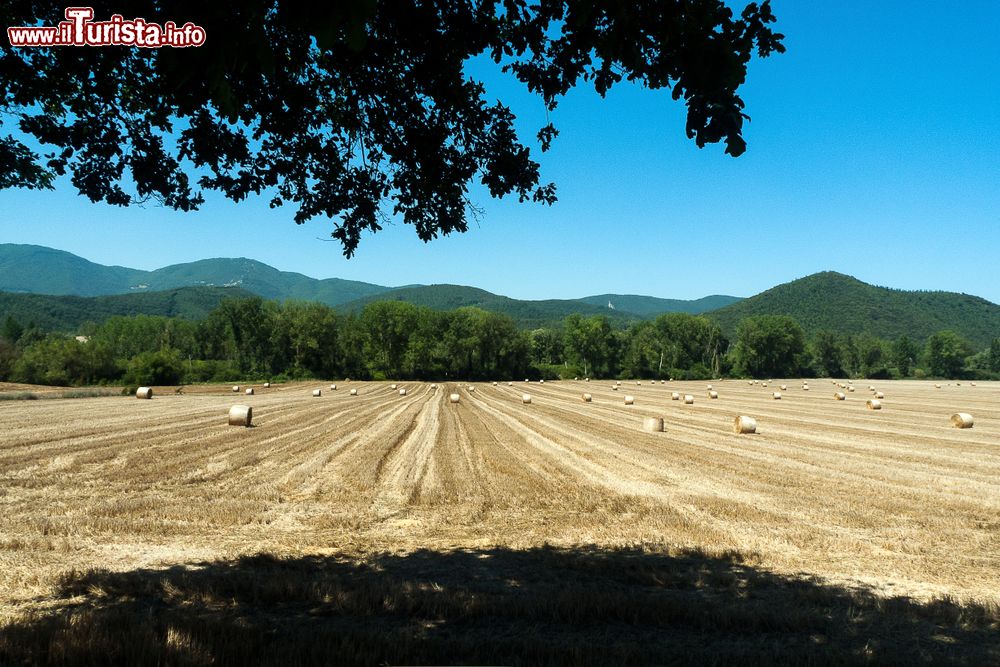 Immagine Le campagne intorno a Piediluco in Umbria, dopo la trebbiatura del grano, in estate