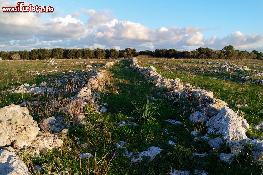 Immagine Le campagne intorno a Porto Badisco nel Salento, provincia di Lecce, Puglia.