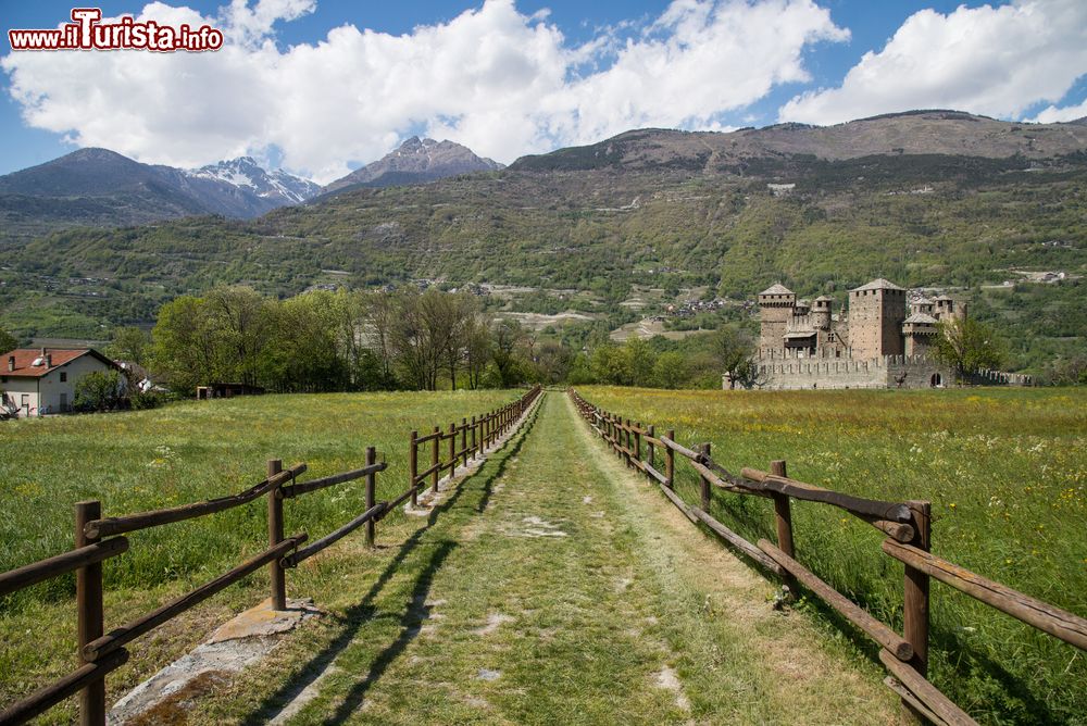 Immagine Le campagne della Valle d'Aosta in estate, intorno al Castello di Fenis