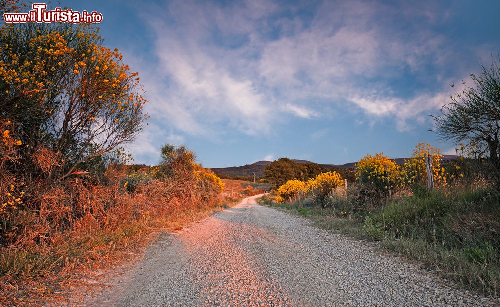 Immagine Le campagne intorno al Monte Amiata, siamo vicino a Seggiano di Grosseto