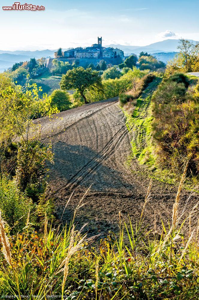 Immagine Le campagne marchigiane intorno al borgo medievale di Montefabbri vicino ad Urbino - © Maxal Tamor / Shutterstock.com