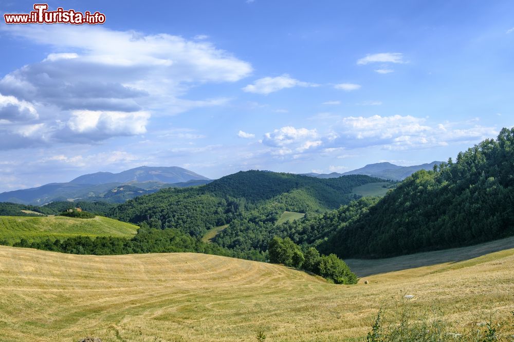 Immagine Le campagne marchigiane nei pressi di Urbania, provincia di Pesaro-Urbino