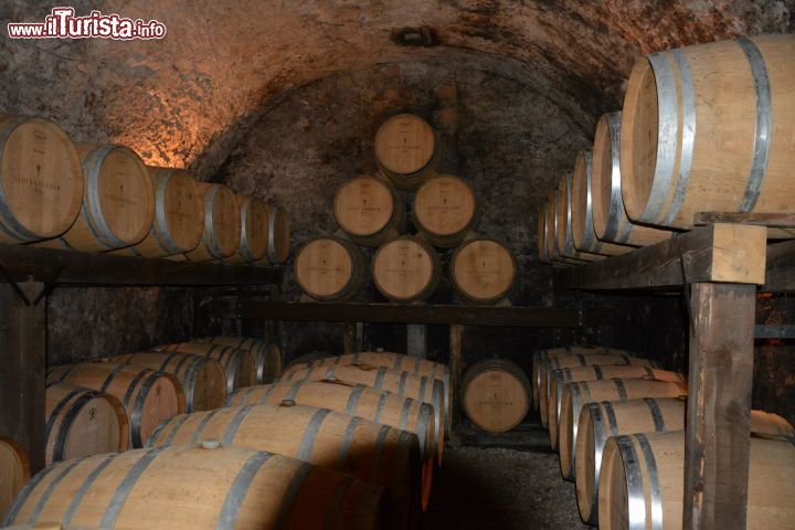 Immagine Le cantine Alois Lageder a Magrè sulla Strada del Vino