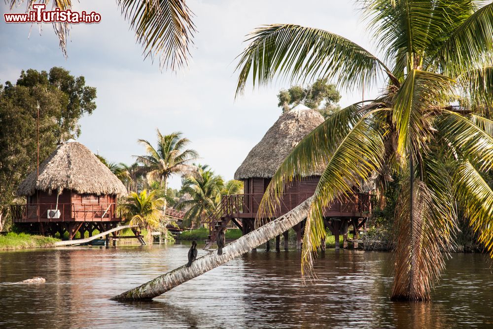 Immagine Le capanne del resort Villa Guamà costruite direttamente sull'acqua della Laguna del Tesoro. Siamo nella Ciénaga de Zapata, a Cuba.