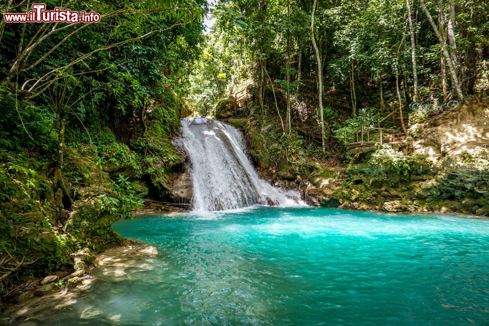 Immagine Le cascate di Blue Hole Waterfalls in Jamaica, siamo non lontani da Ocho Rios