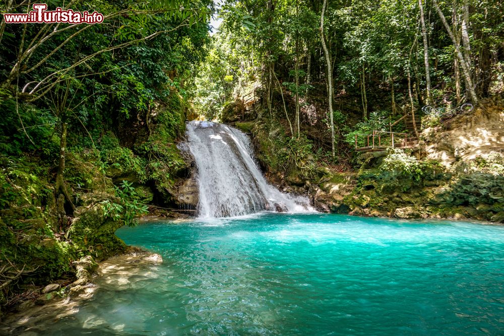 Immagine Le cascate di Blue Hole Waterfalls in Jamaica, siamo non lontani da Ocho Rios