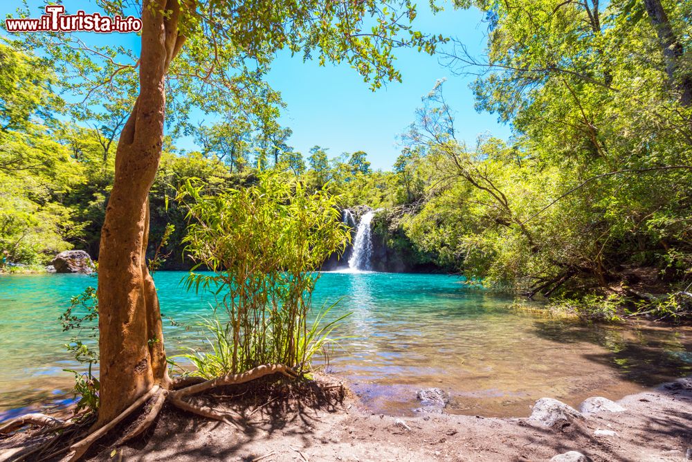 Immagine Le cascate Petrohue a Puerto Varas, Cile. Siamo all'interno del Parque Nacional Vicente Pérez Rosales, il più antico del Cile, vicino al lago Todos los Santos.