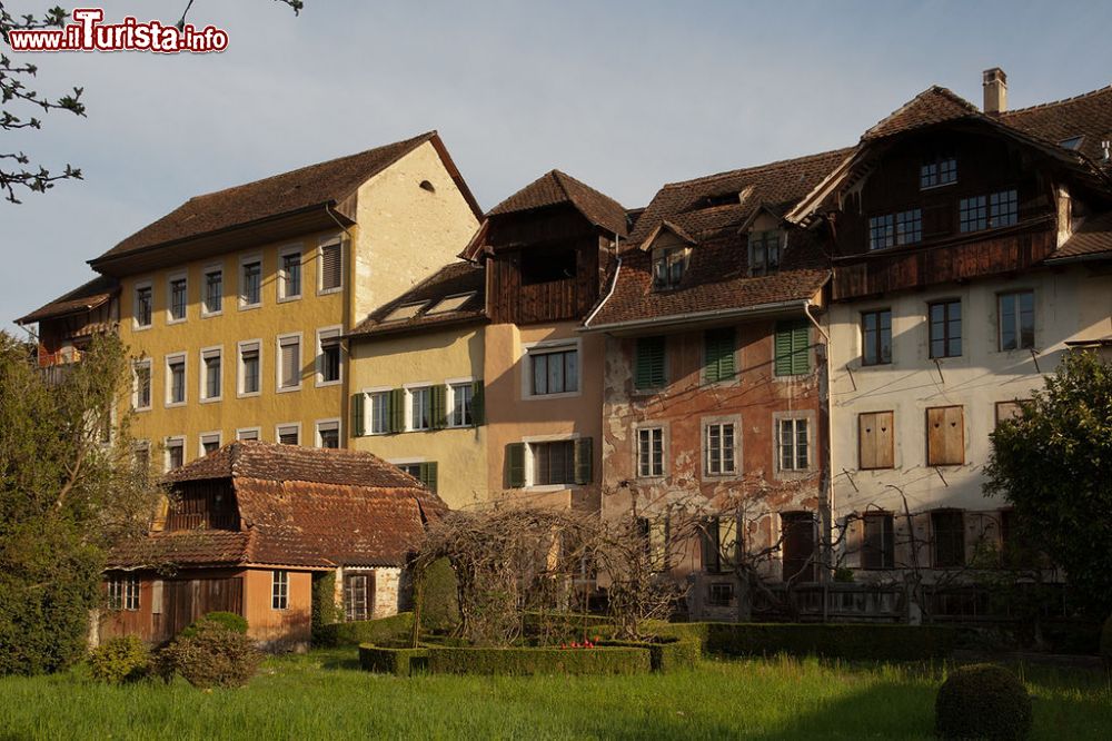 Le foto di cosa vedere e visitare a Buren an der Aare