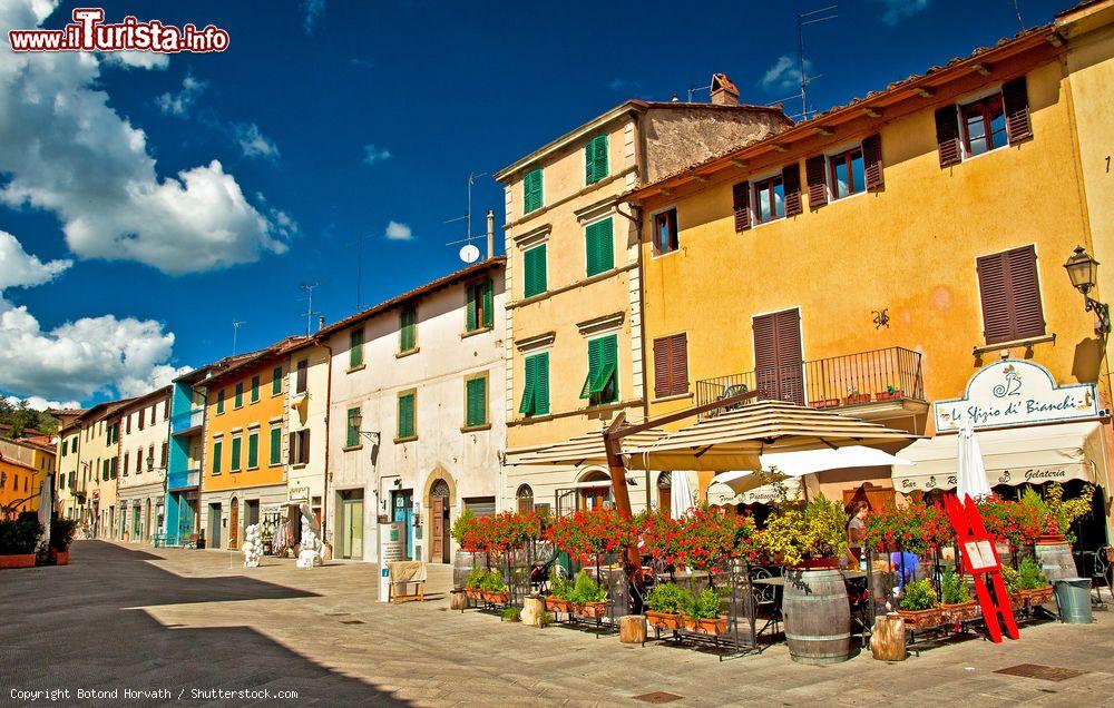 Le foto di cosa vedere e visitare a Gaiole in Chianti