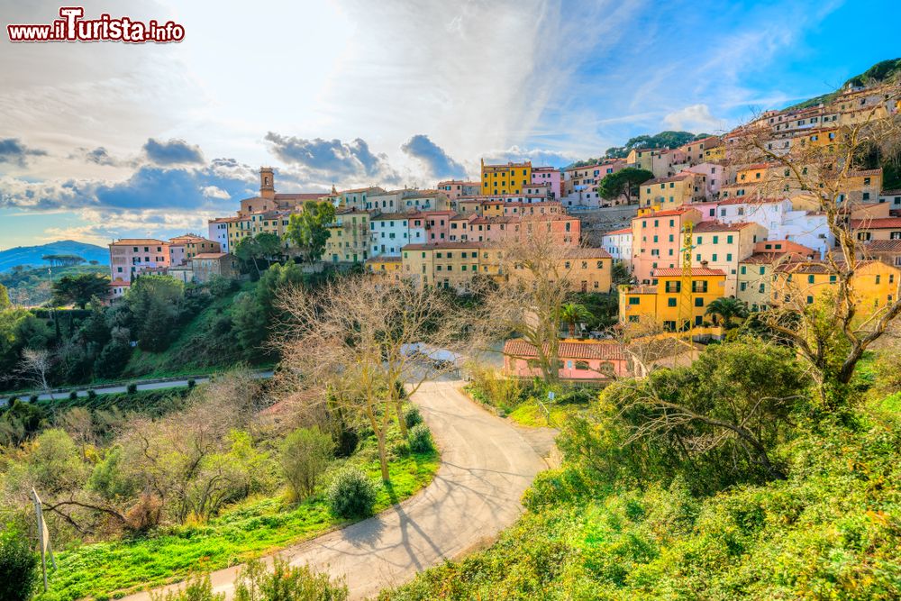 Immagine Le case colorate del centro storico di Marciana, Isola d'Elba (Toscana)