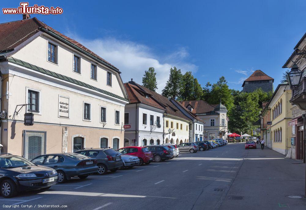 Immagine Le case del centro storico di Kamnik in Slovenia - © Cortyn / Shutterstock.com