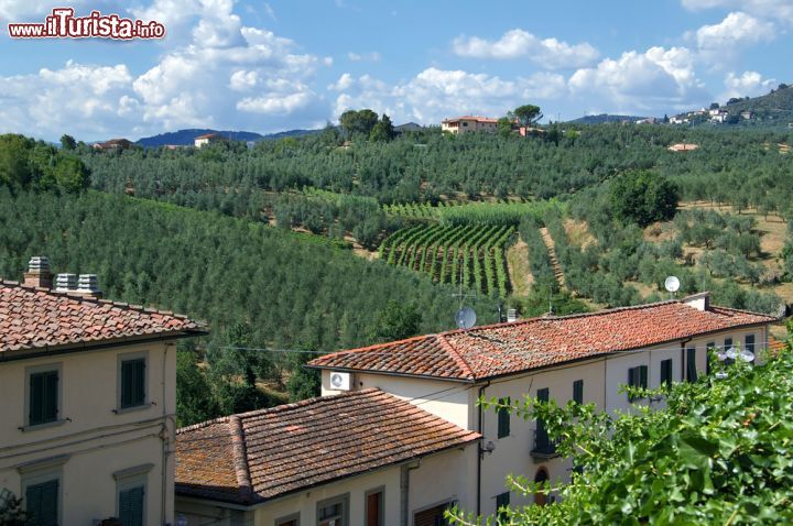 Immagine Le case di Vinci e le colline toscane coltivate dei dintorni - © Rudi Vandeputte / Shutterstock.com