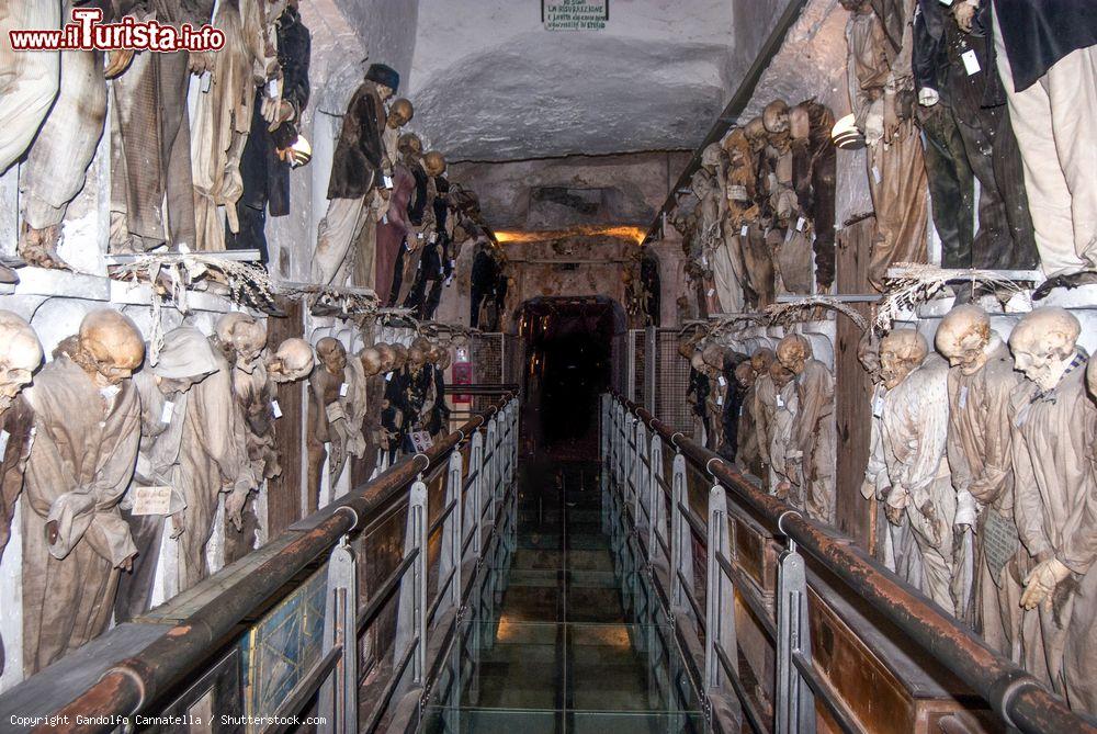 Immagine Le Catacombe dei Cappuccini a Palermo, Sicilia. Il convento dei Cappuccini è celebre per la presenza nei suoi sotterranei di un grande cimitero che attira la curiosità dei turisti. Queste gallerie furono scavate verso la fine del '500 in stile gotico e formano un ampio cimitero a forma rettangolare. Si calcola che le salme esposte siano circa 8 mila - © Gandolfo Cannatella / Shutterstock.com