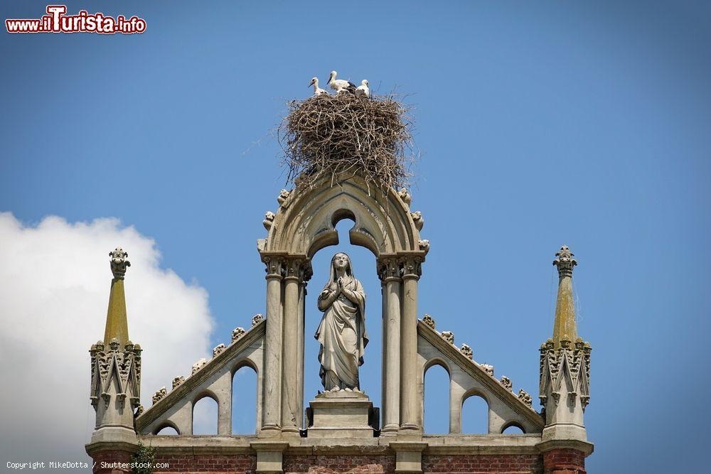 Immagine Le cicogne in primavera ed estate colonizzano il centro storico di Racconigi in Piemonte - © MikeDotta / Shutterstock.com