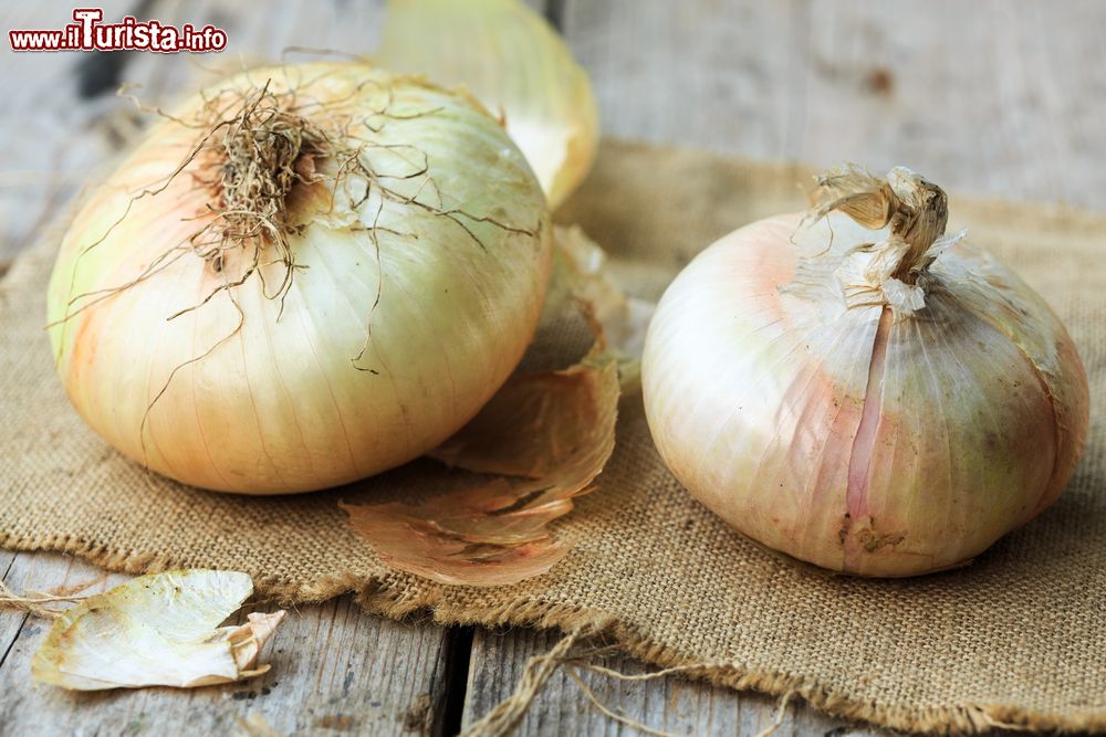 Immagine Le cipolle di Giarratana in Sicilia vengono celebrate con una importante sagra