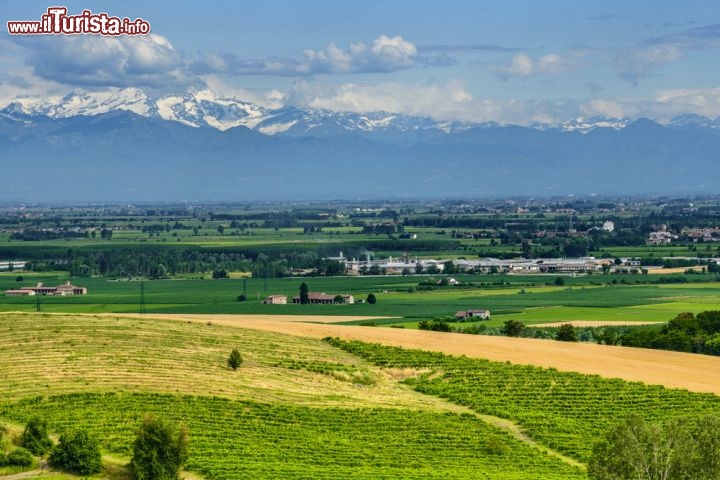 Immagine Le colline del Monferrato viste con le Alpi del Piemonte sullo sfondo. In continua competizione con le Langhe e il Roero, le colline del Monferrato si trovano fra Asti e Alessandria. In questa zona vi sono vini pregiati e sapori genuini.