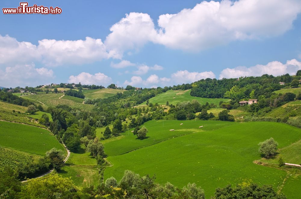 Immagine Le colline della zona di Langhirano nel parmense