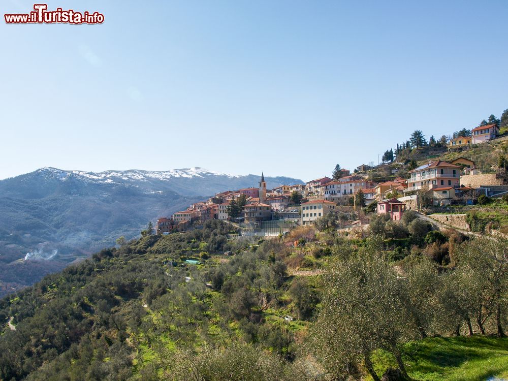 Immagine Le colline intorno a Diano Castello e sullo sfondo le Alpi Marittime. Siamo in Liguria, provincia di Imperia