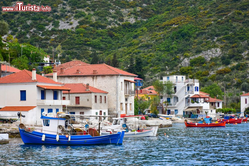 Immagine Le colorate barche da pesca ormeggiate in un villaggio dell'isola di Trikeri, Tessaglia (Grecia).