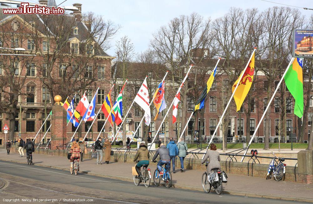 Immagine Le dodici bandiere delle province olandesi e la bandiera di Den Haag al Hofvijver, Olanda - © Nancy Beijersbergen / Shutterstock.com