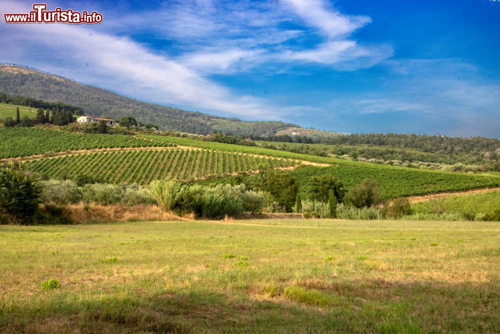 Immagine Le dolci colline della provincia di Pistoia non distanti da Quarrata in Toscana