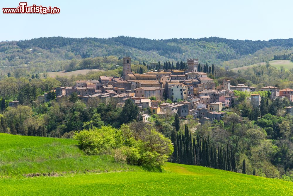 Immagine Le dolci colline della Val d'Orcia che circondano il borgo toscano di San Casciano dei Bagni, provincia di Siena