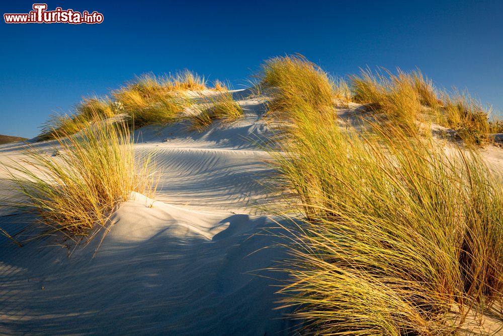 Immagine Le dune di Porto Pino, vicino a Capo Teulada in Sardegna