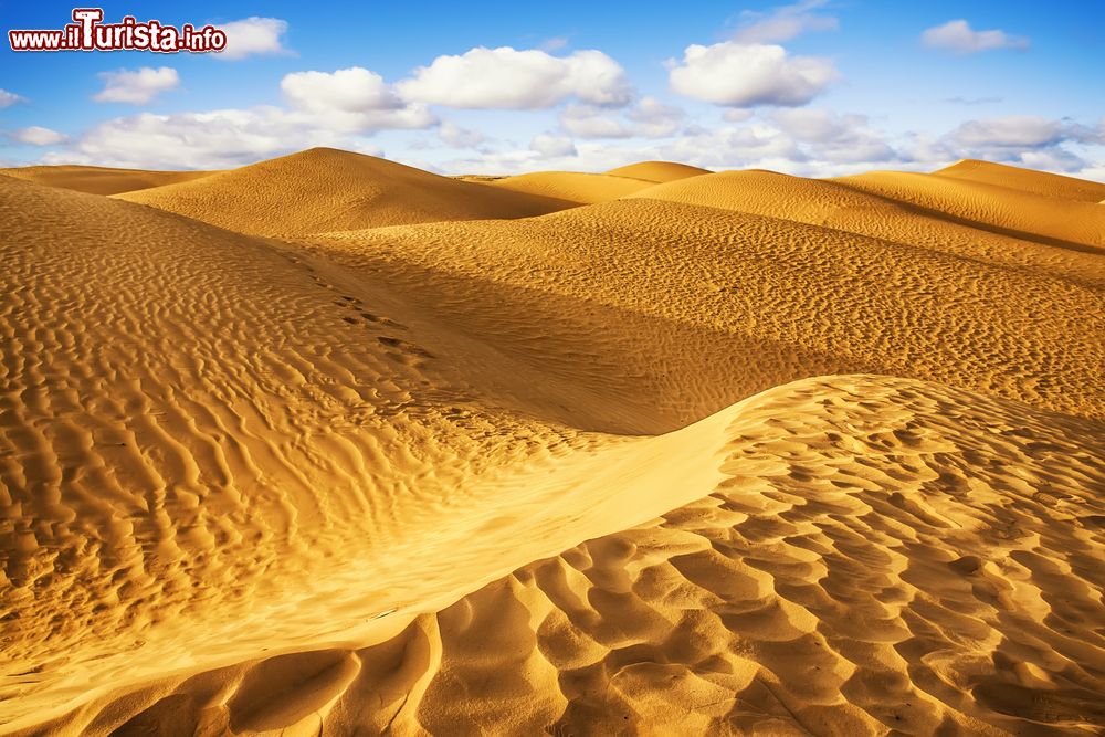 Immagine Le dune disegnate dal vento neld eserto del Sahara, Tunisia.