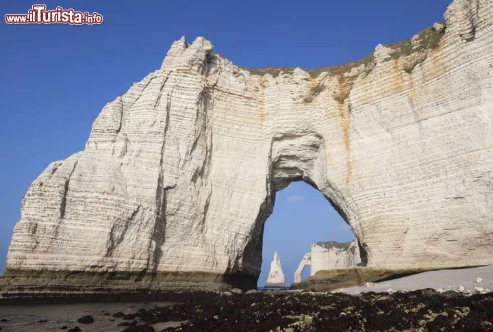 Immagine Le famose scogliere di gesso nella Costa di Alabastro a Etretat, Francia. Questo modesto villaggio di pescatori è divenuto con il tempo una delle mete preferite dai turisti per via dei suoi suggestivi panorami naturali - © prochasson frederic / Shutterstock.com