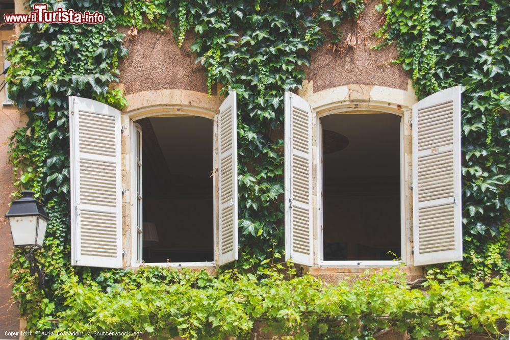 Immagine Le finestre aperte di una casa ricoperta di edera nel centro di Beaulieu-sur-Dordogne (Francia) - © Flavia Costadoni / Shutterstock.com