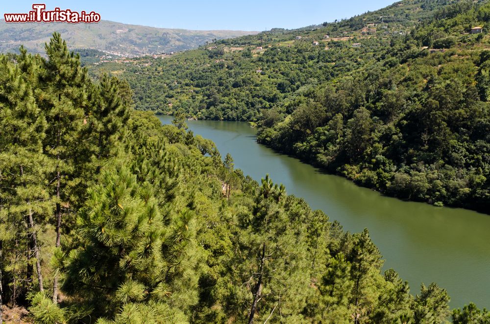 Immagine Le foreste sugli argini del fiume Douro nei pressi di Resende, Portogallo.