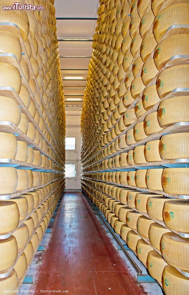 Immagine Le forme di Parmigiano-Reggiano in un caseificio di Traversetolo di Parma - © eFesenko / Shutterstock.com