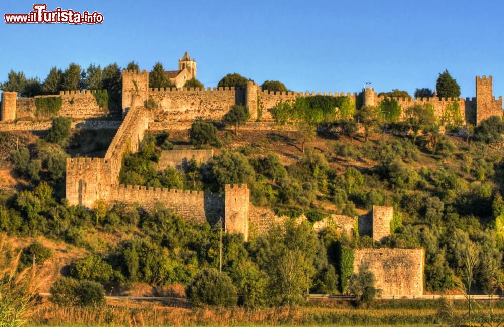 Immagine Le fortificazioni del castello di Montemor-o-Velho, Portogallo. Questo complesso, uno dei maggiori del paese, è costituito dalle rovine dei Palazzi Reali cinquecenteschi, dalla Porta da Peste, dal Torrione con mastio e dalla chiesa di Santa Maria da Alcacova.