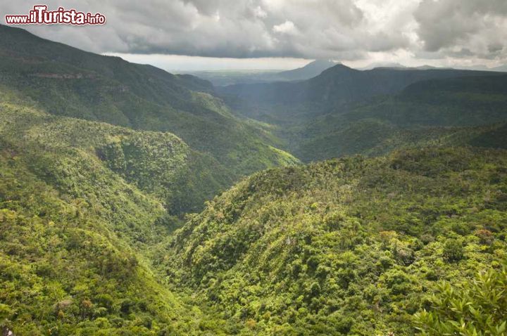 Immagine Le gole del fiume nero (Black River Gorge) si trovano alle spalle di Riviere Noire Mauritius- © bengy / Shutterstock.com