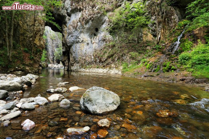 Immagine Le gole di Rametului si trovano a sud ovest di Turda in Romania - © Mikadun / Shutterstock.com