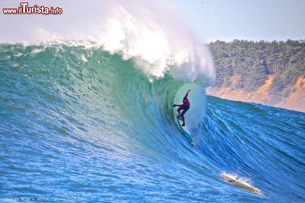 Immagine Le impressionanti onde di Mavericks, Halfmoon Bay, California. - © Brian A. Witkin / Shutterstock.com