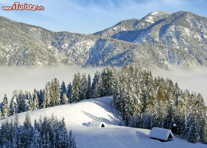 Immagine Le montagne della Carnia intorno a Tarvisio, in Friuli - © Pecold/ Shutterstock.com