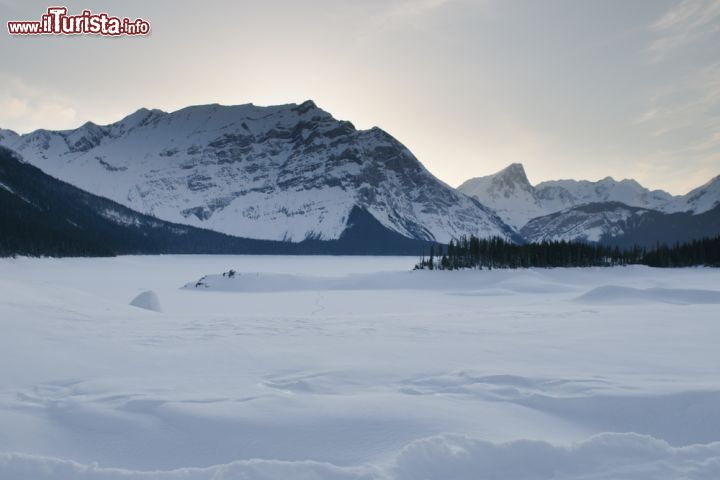 Immagine Le montagne della Kananaskis Country, a sud di Banff sono celebri per i loro paesaggi selvaggi: La contea è stata usata per alcune scene del film Revenant, diretto dal regista González Iñárritu.  Siamo nello stato dell'Alberta, in Canada - © BGSmith / Shutterstock.com