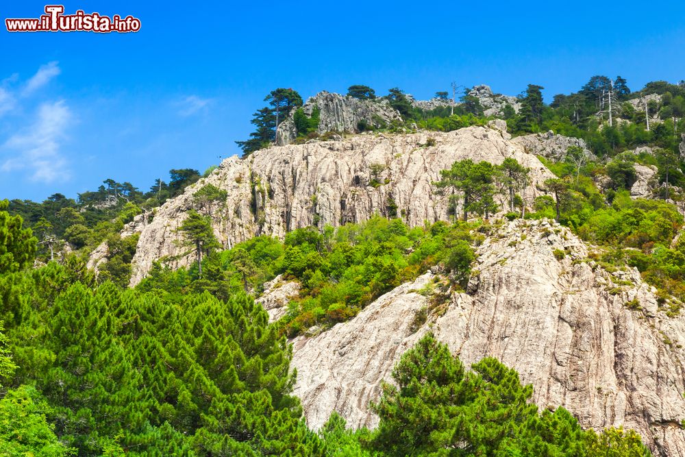 Immagine Le montagne della regione dell'Ospedale nei dintorni di Lecci in Corsica