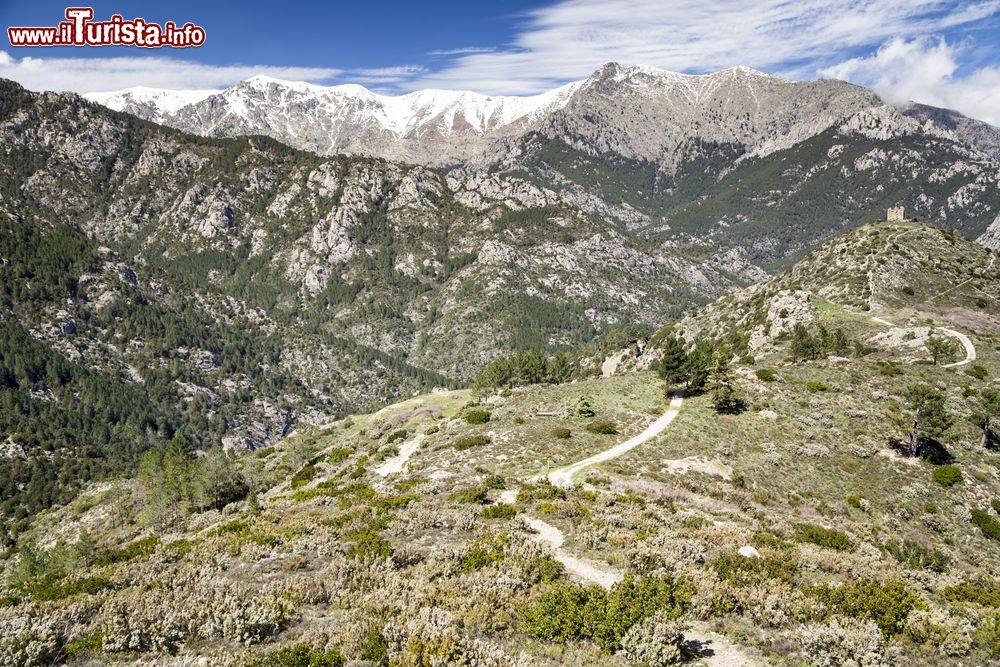 Immagine Le montagne dell'Alta Corsica fotografate nei pressi di Vivario