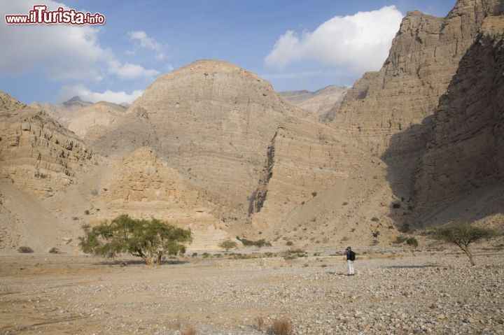 Immagine Le montagne e il deserto alle spalle di Ras Al Khaimah - © SeraphP / Shutterstock.com