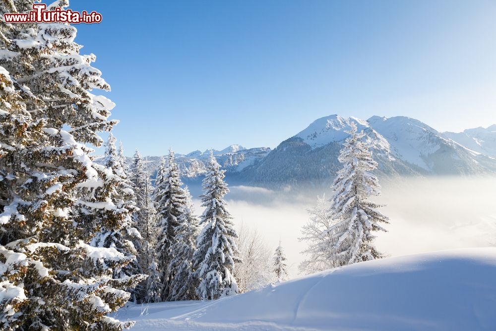 Immagine Le montagne innevate viste da Les Gets nell'area sciistica Portes du Soleil, Francia.